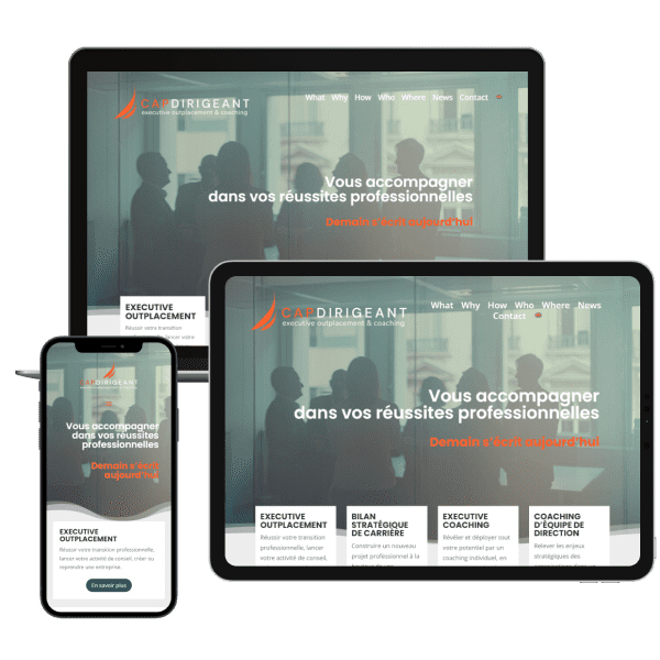 Projet entre Cap Dirigeant et OpenMyDiv agence web à Paris