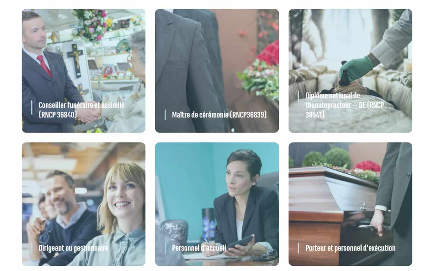 Six métiers, une entrée par intention